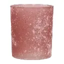 195464064504 ROSA_2.webp